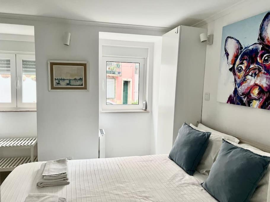 Reg Apartamento *